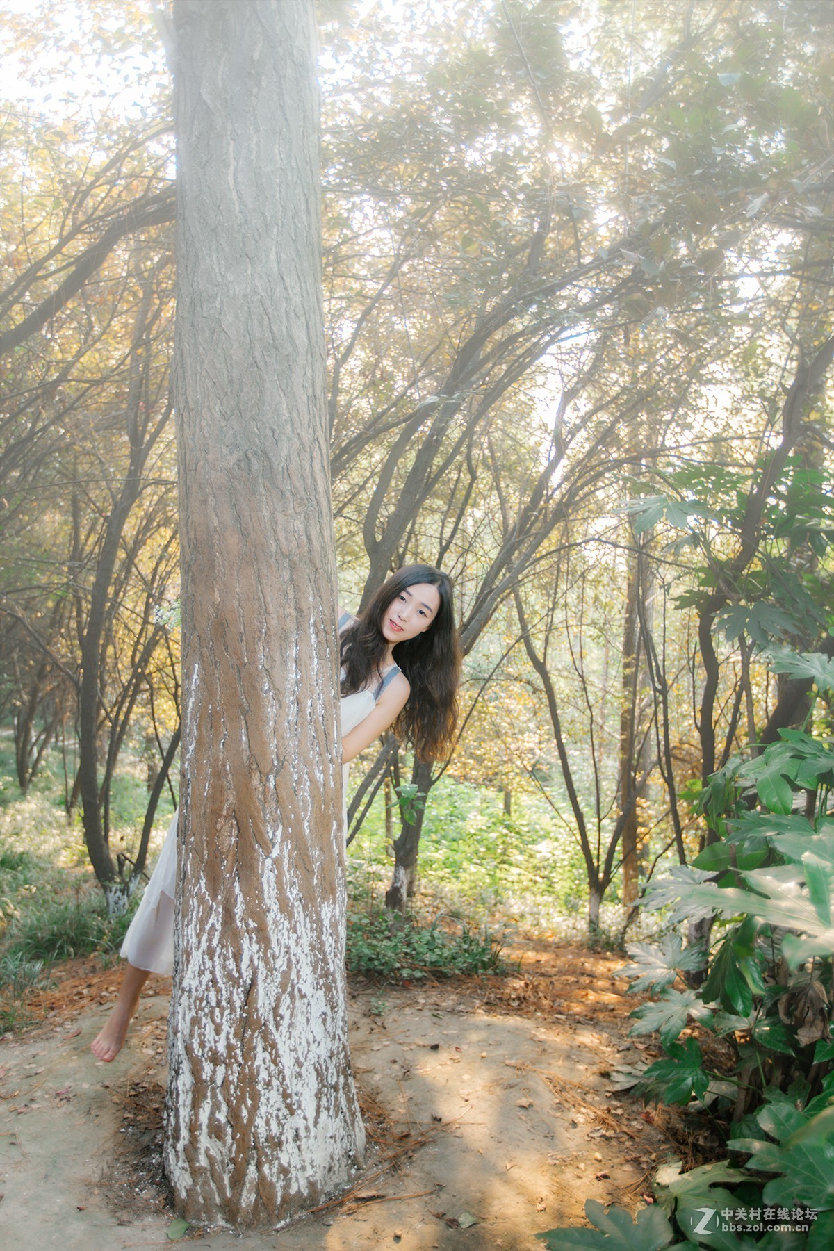 你是我的文明用语记忆