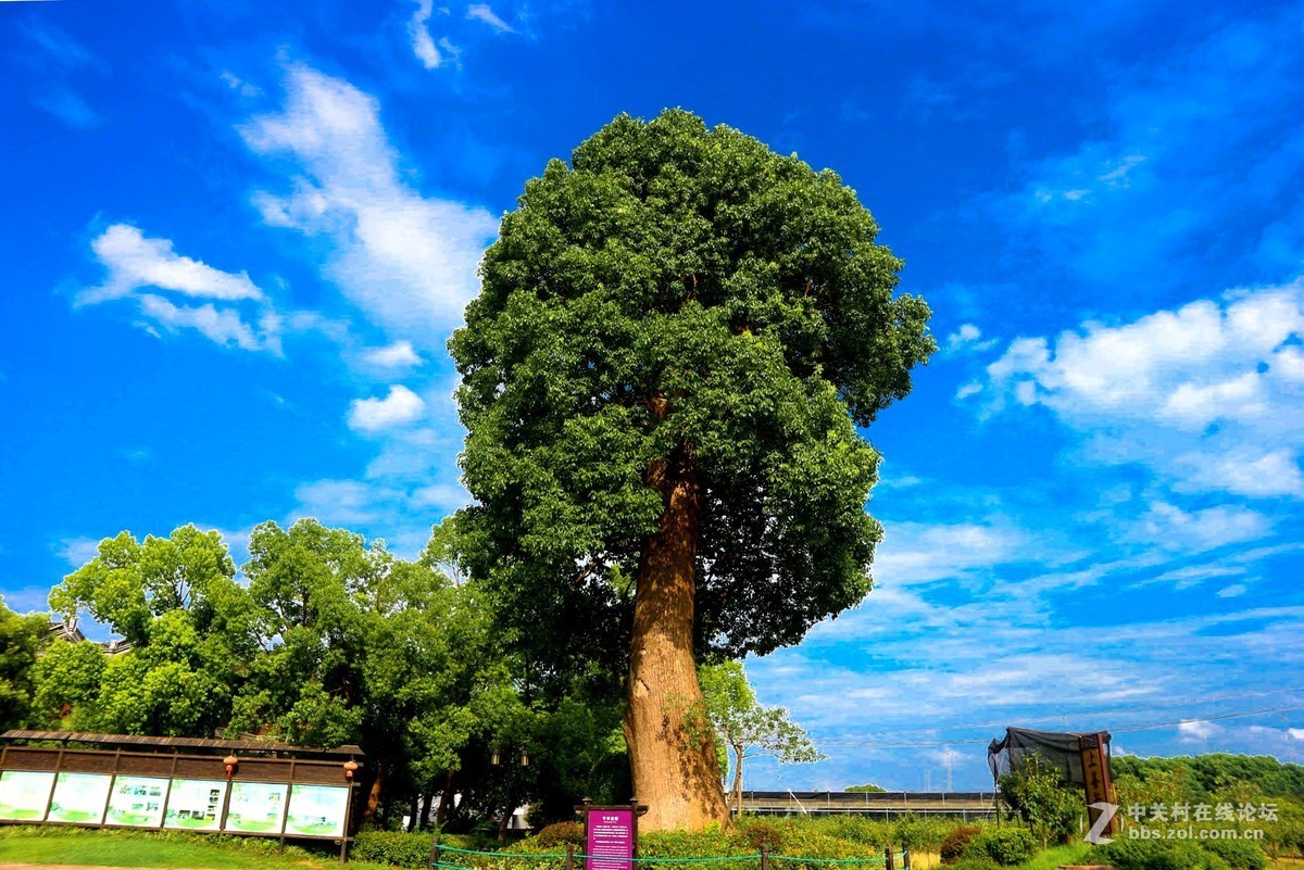 上海韩湘水博园