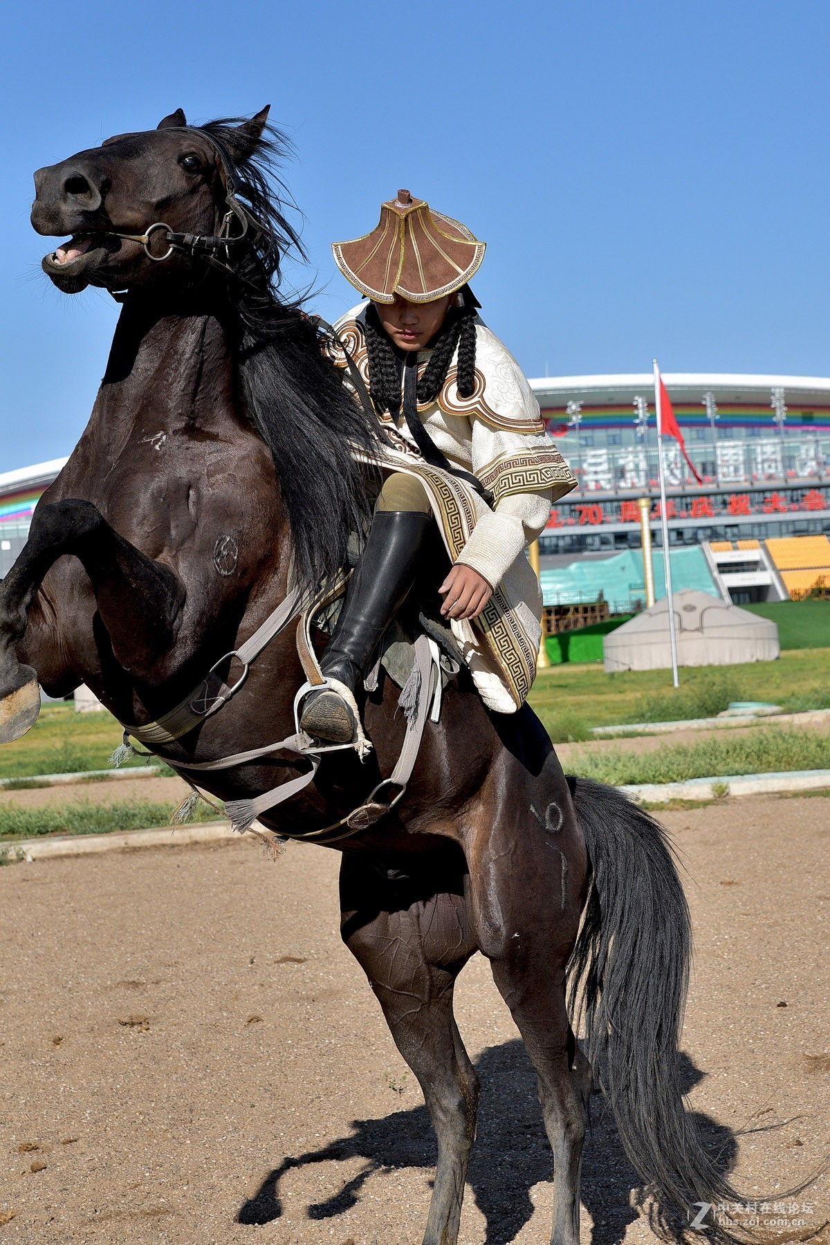 内蒙草原骏马骑士