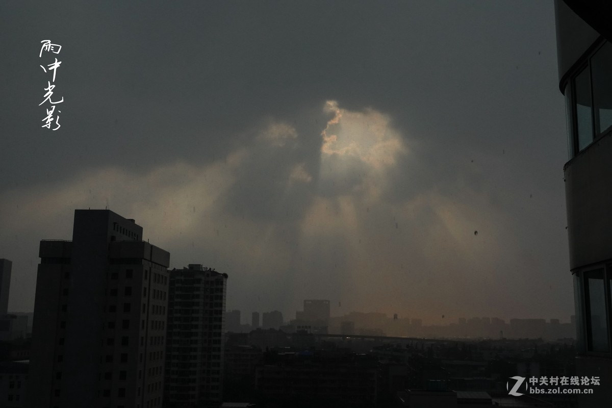 雨中
