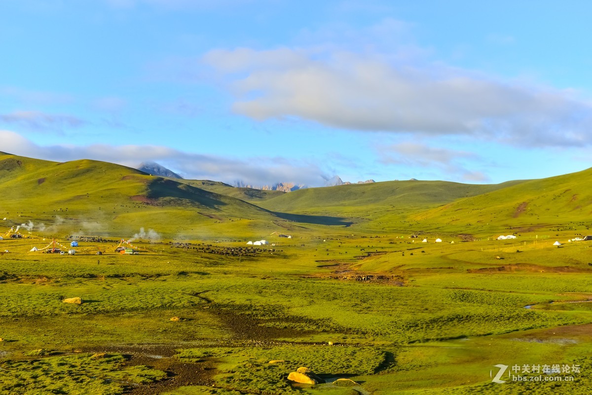 青海省果洛藏族自治州草原风光