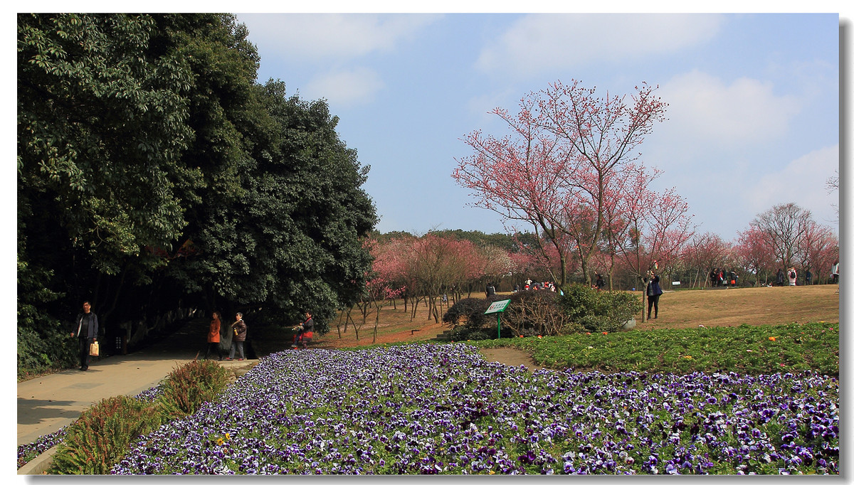 成都植物園