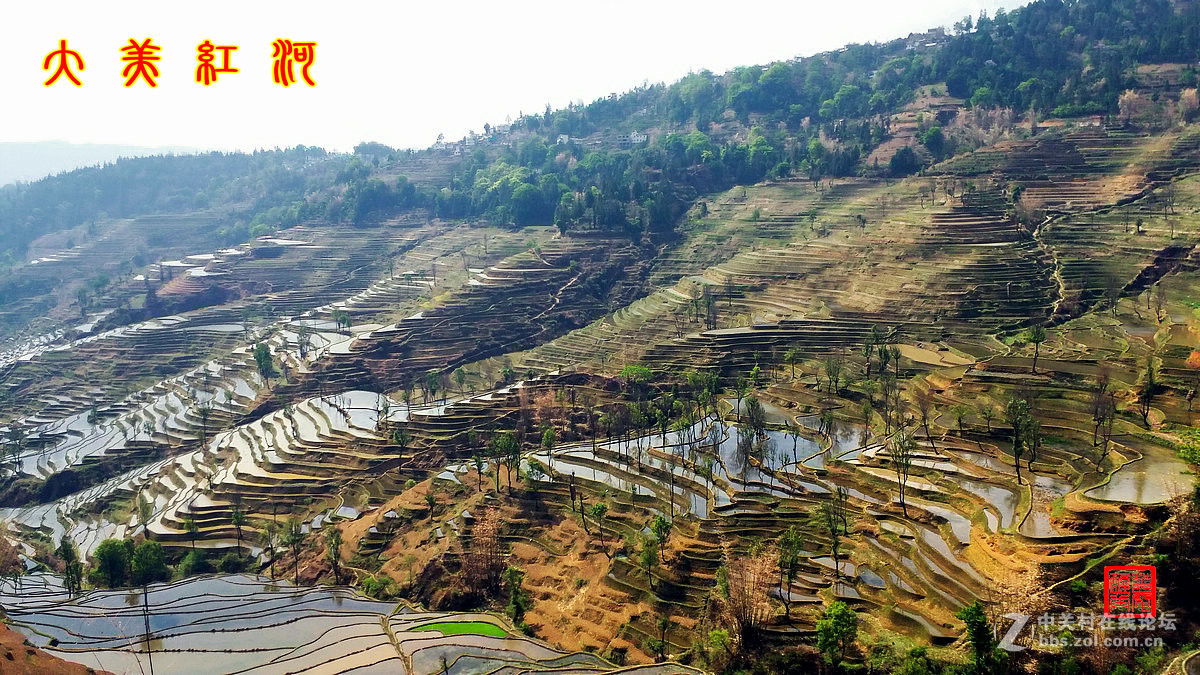 大美红河——撒玛坝梯田1手机版（1）