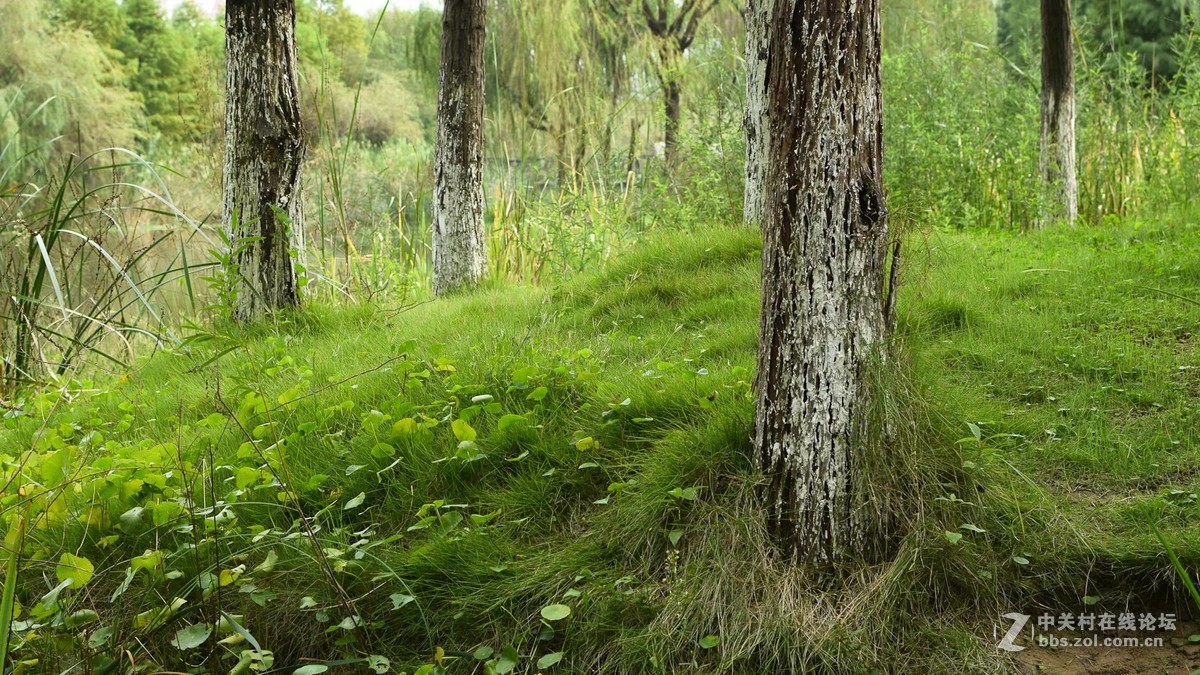 苏州张家港暨阳湖 35mm f1.8