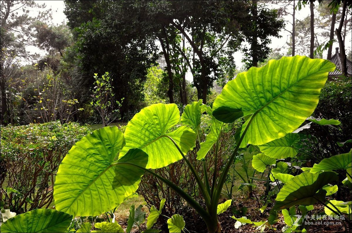 休闲随拍（354）