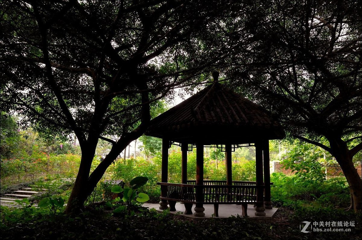 休闲随拍（354）