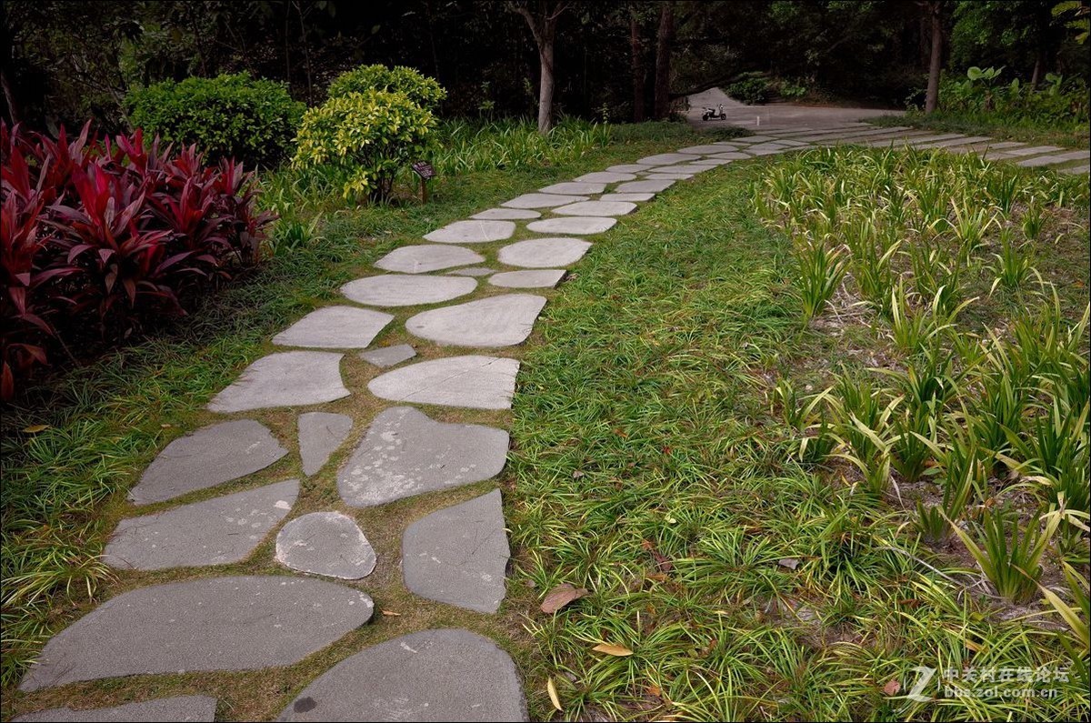 休闲随拍（354）