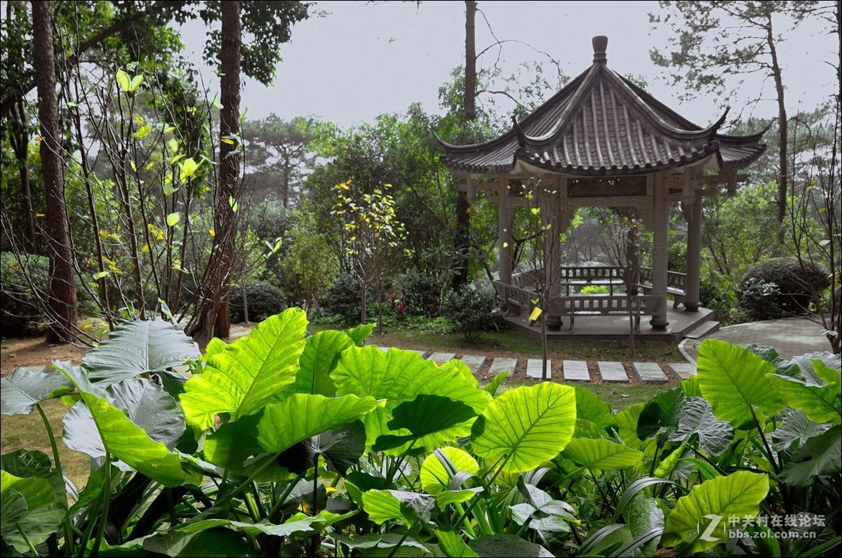 休闲随拍（354）