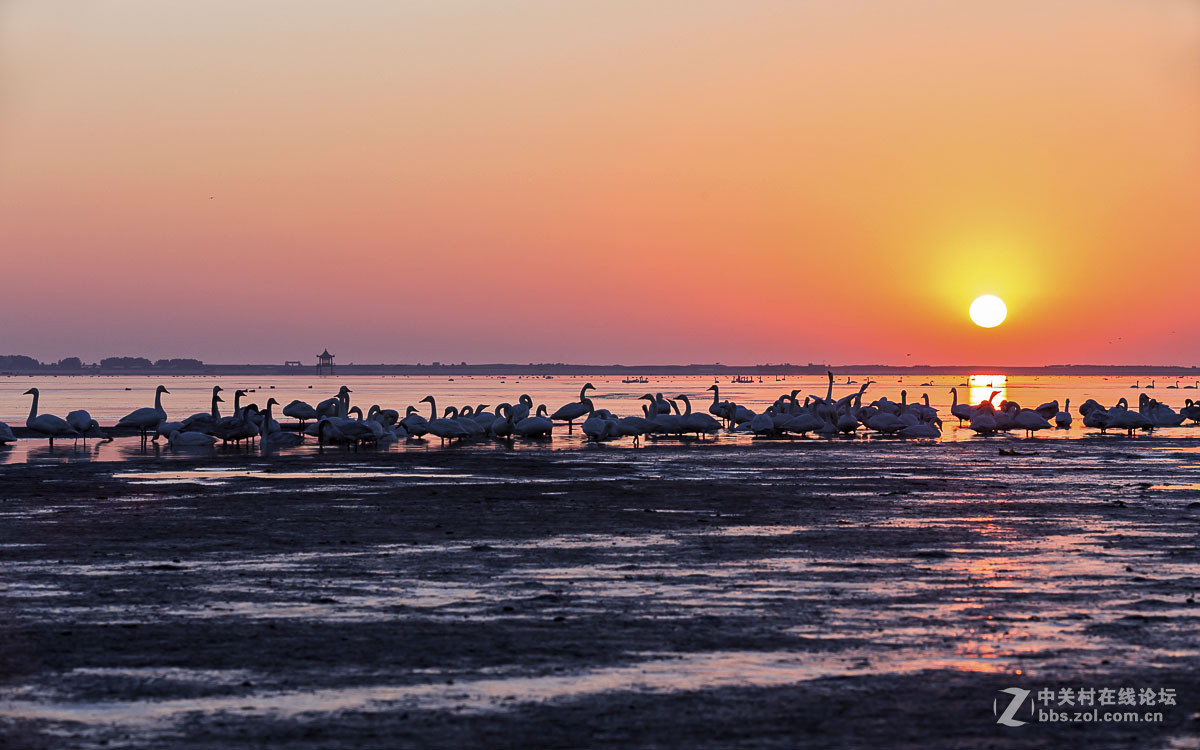 #佳能月赛-人与自然#------黎明时分