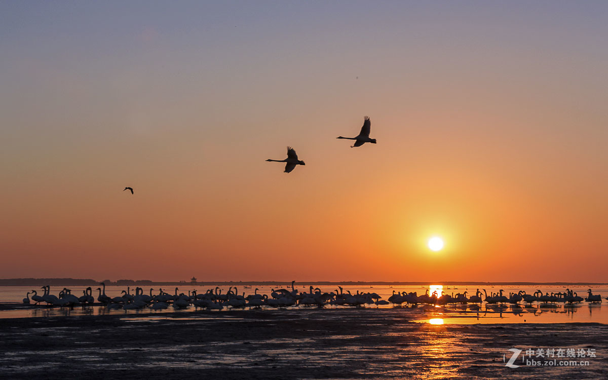 #佳能月赛-人与自然#------黎明时分