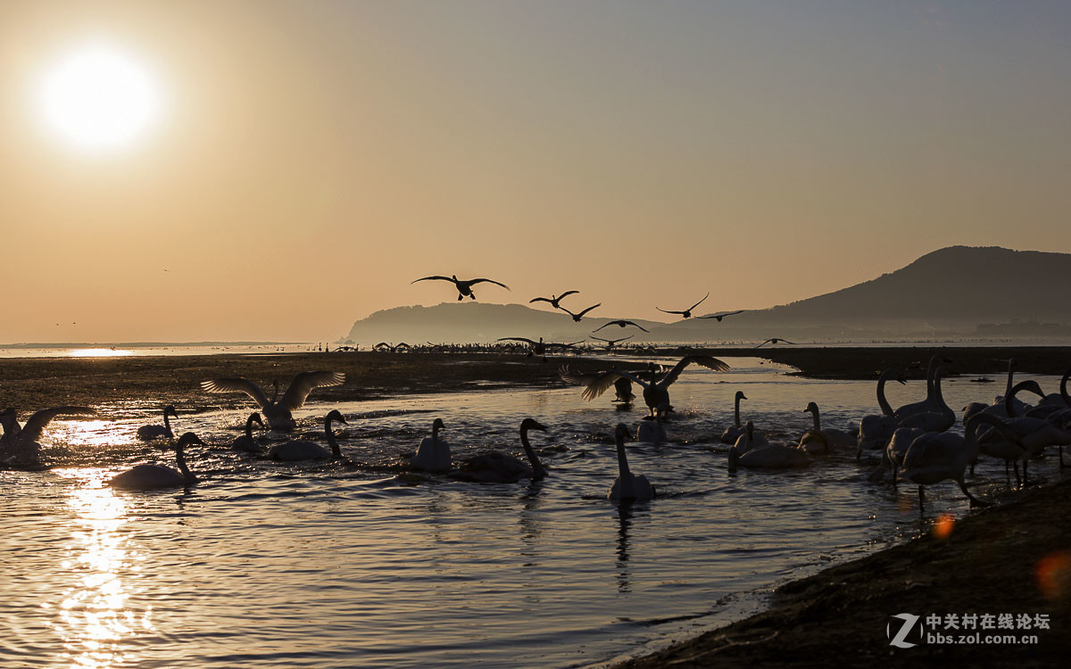 #佳能月赛-人与自然#------黎明时分