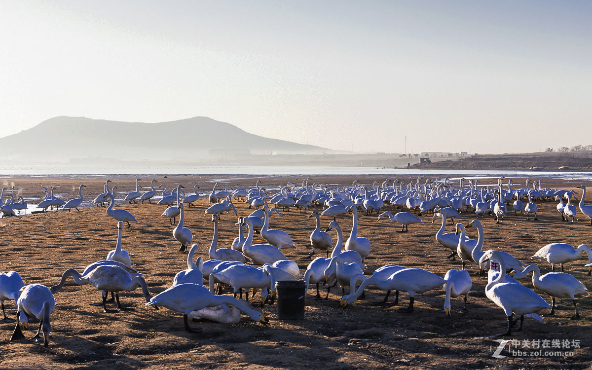 #佳能月赛-人与自然#------黎明时分