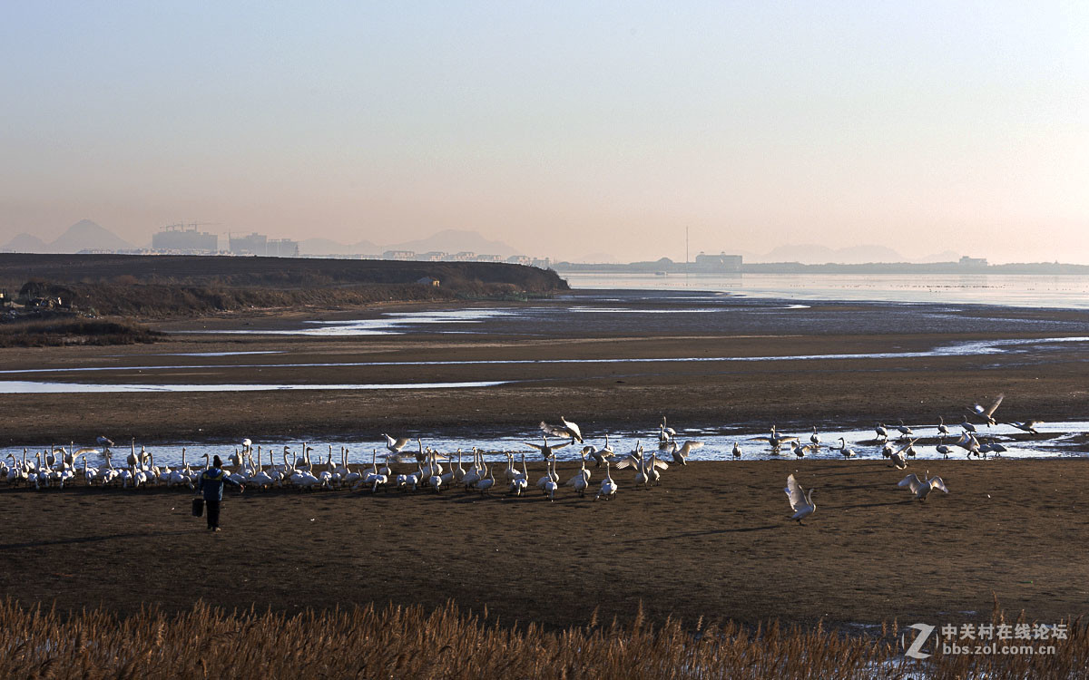 #佳能月赛-人与自然#------黎明时分