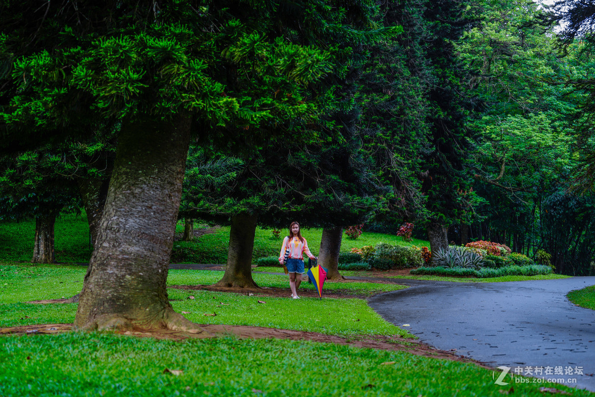 马尔代夫+斯里兰卡honymoon（人像片）