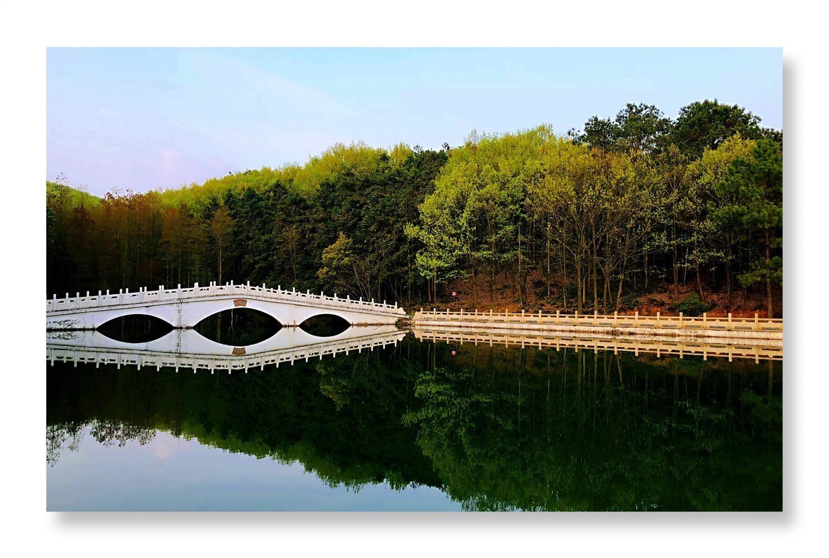 九真山连理湖春意萌萌