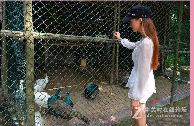 中秋节去东莞游玩偶遇的美女