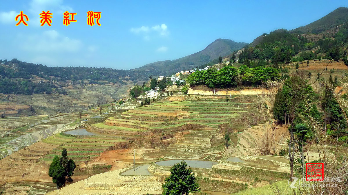 大美红河——撒玛坝梯田1手机版（1）