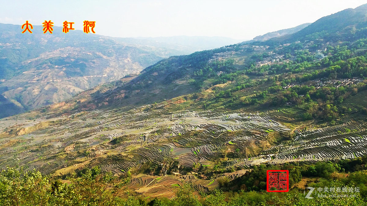 大美红河——撒玛坝梯田1手机版（1）