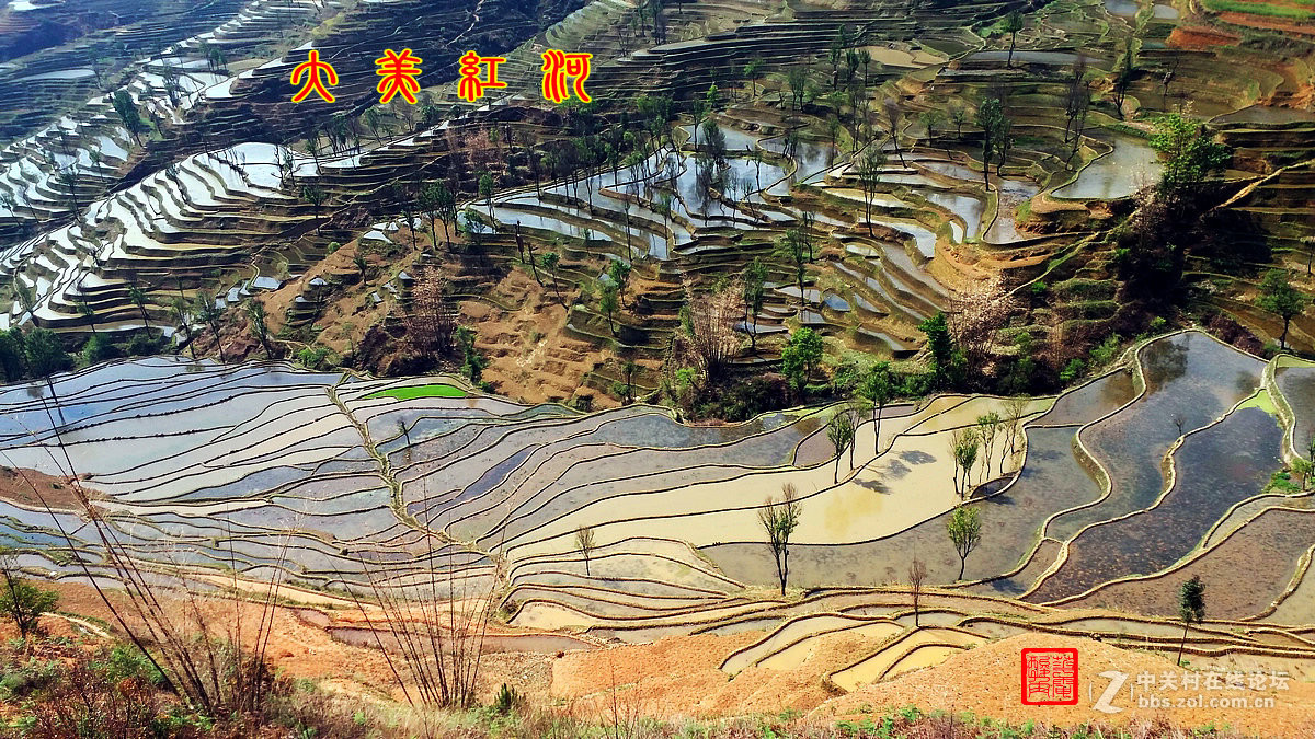 大美红河——撒玛坝梯田1手机版（1）