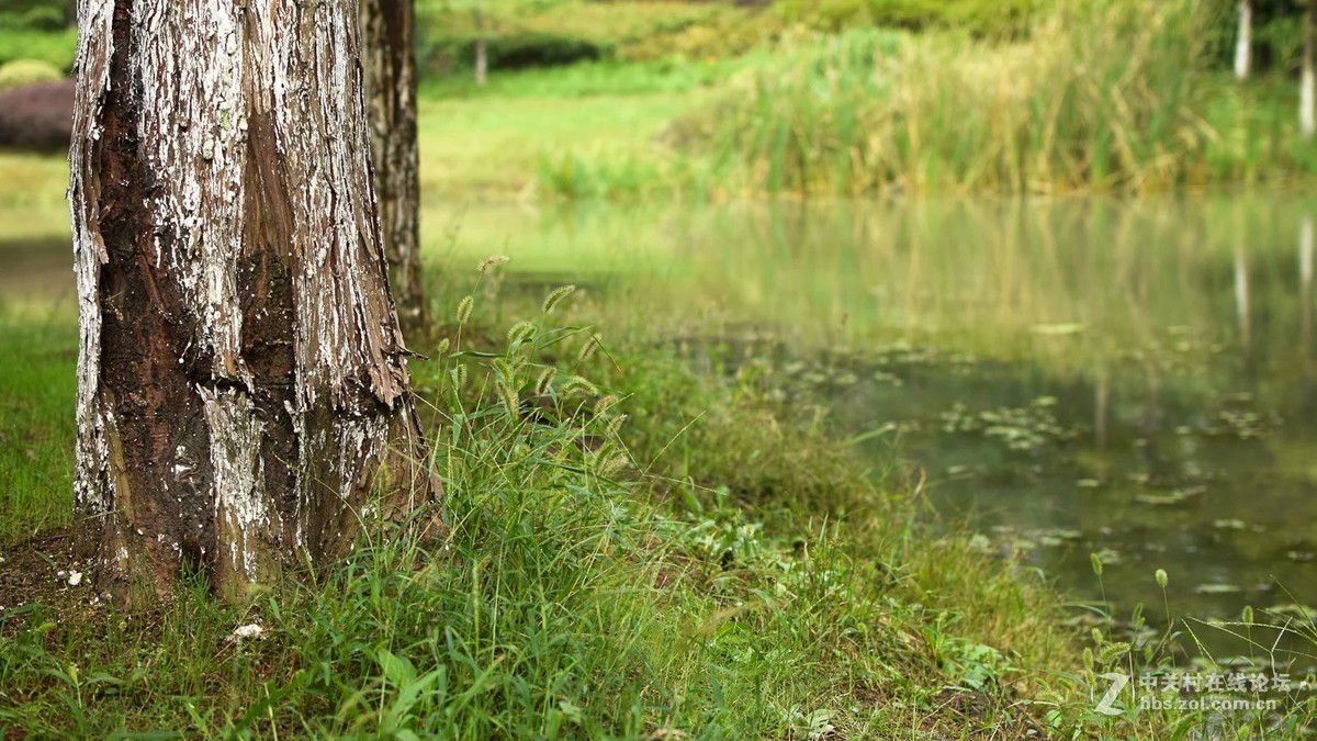 苏州张家港暨阳湖 35mm f1.8