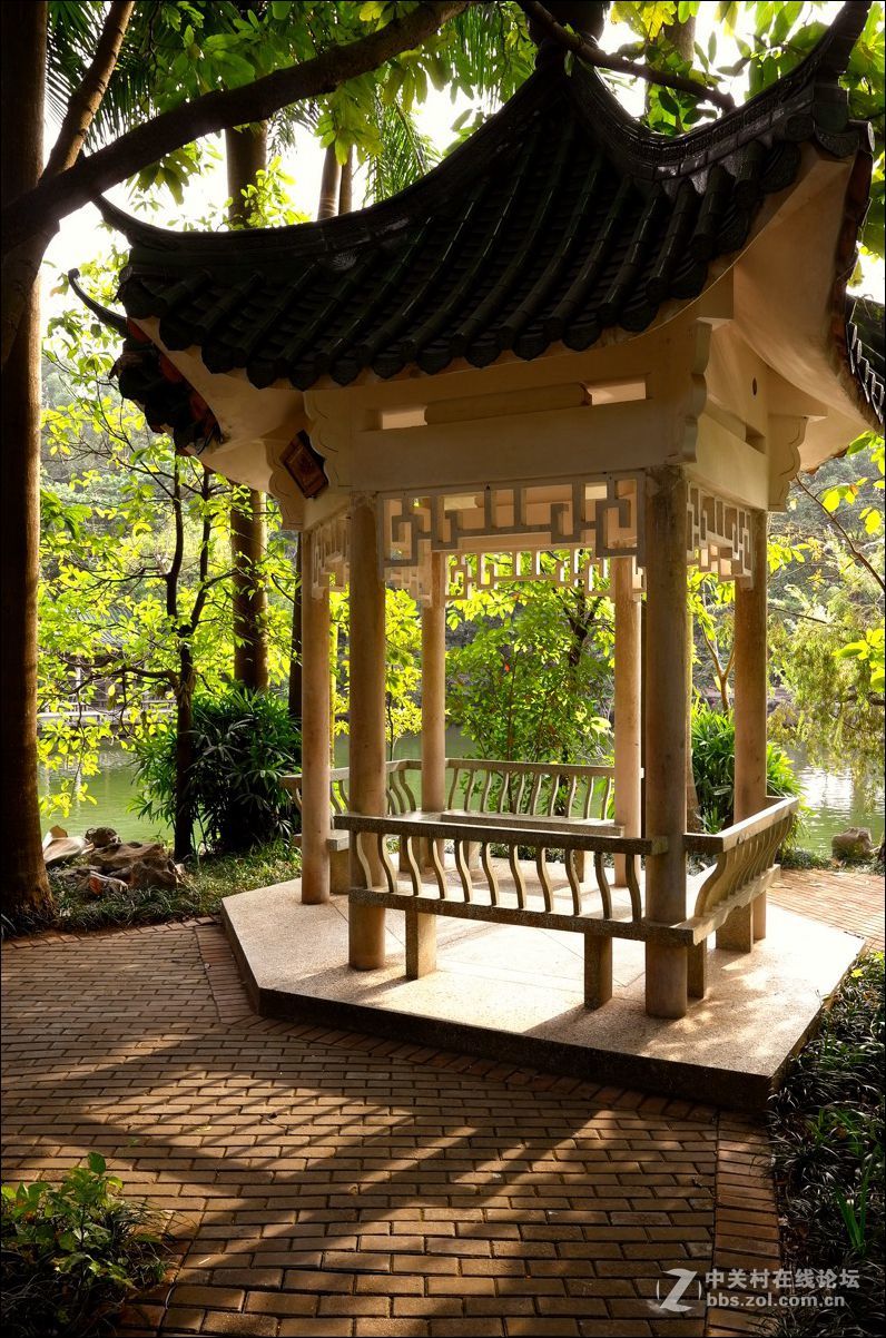 休闲随拍（354）