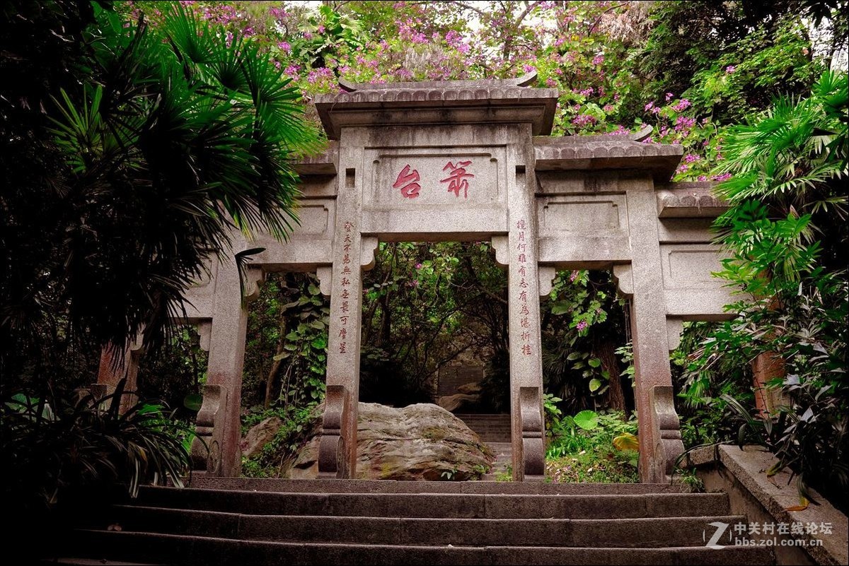 休闲随拍（354）