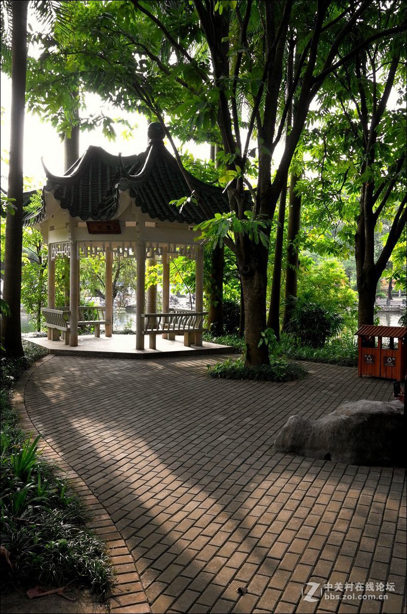 休闲随拍（354）