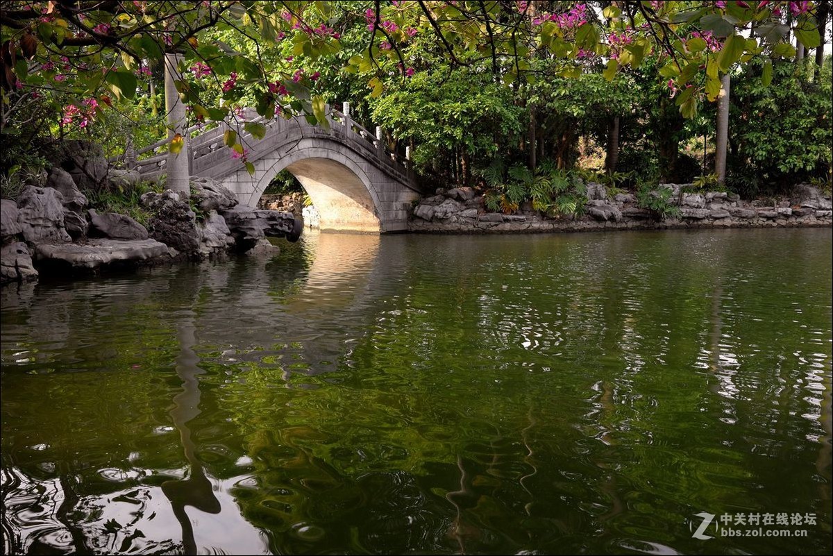 休闲随拍（354）