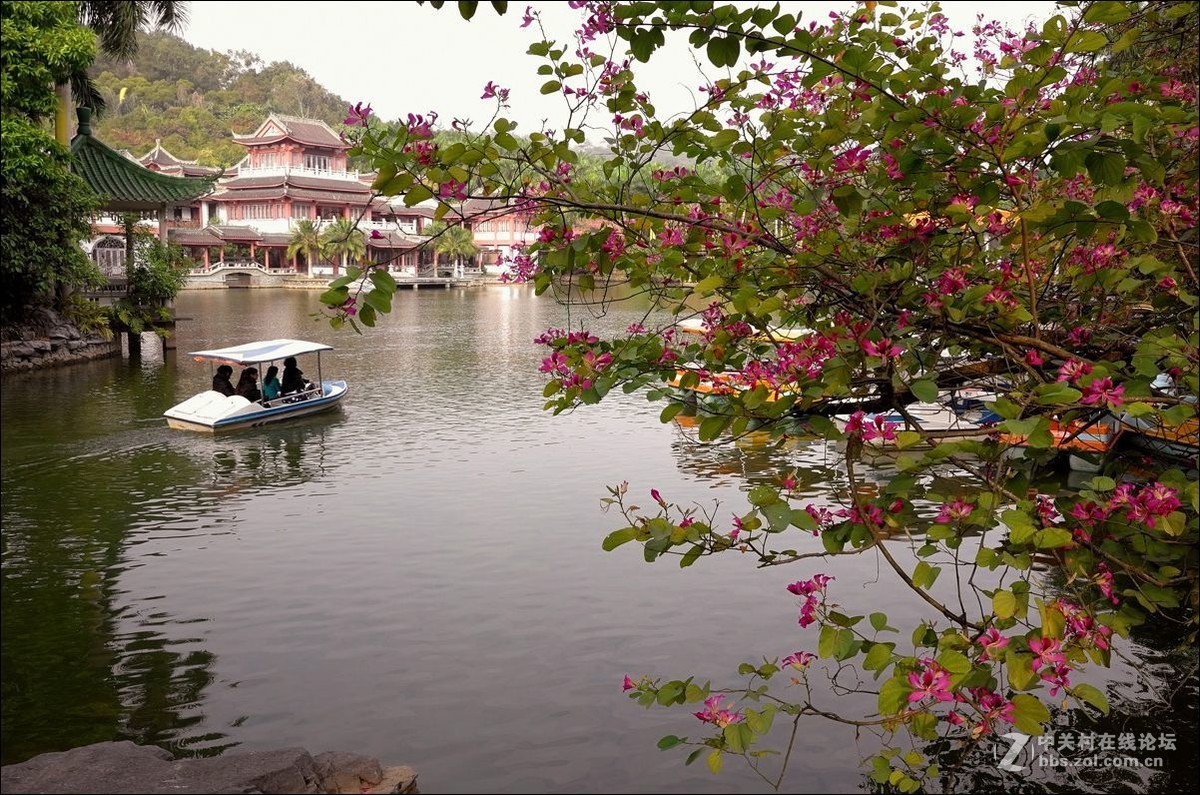 休闲随拍（354）