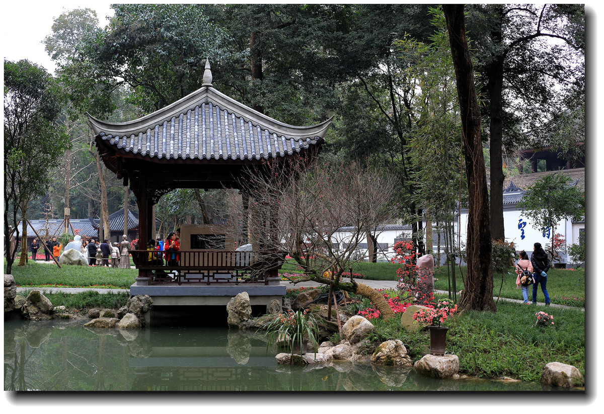 #春节家乡寻宝#【杜甫草堂】— 成都的宝