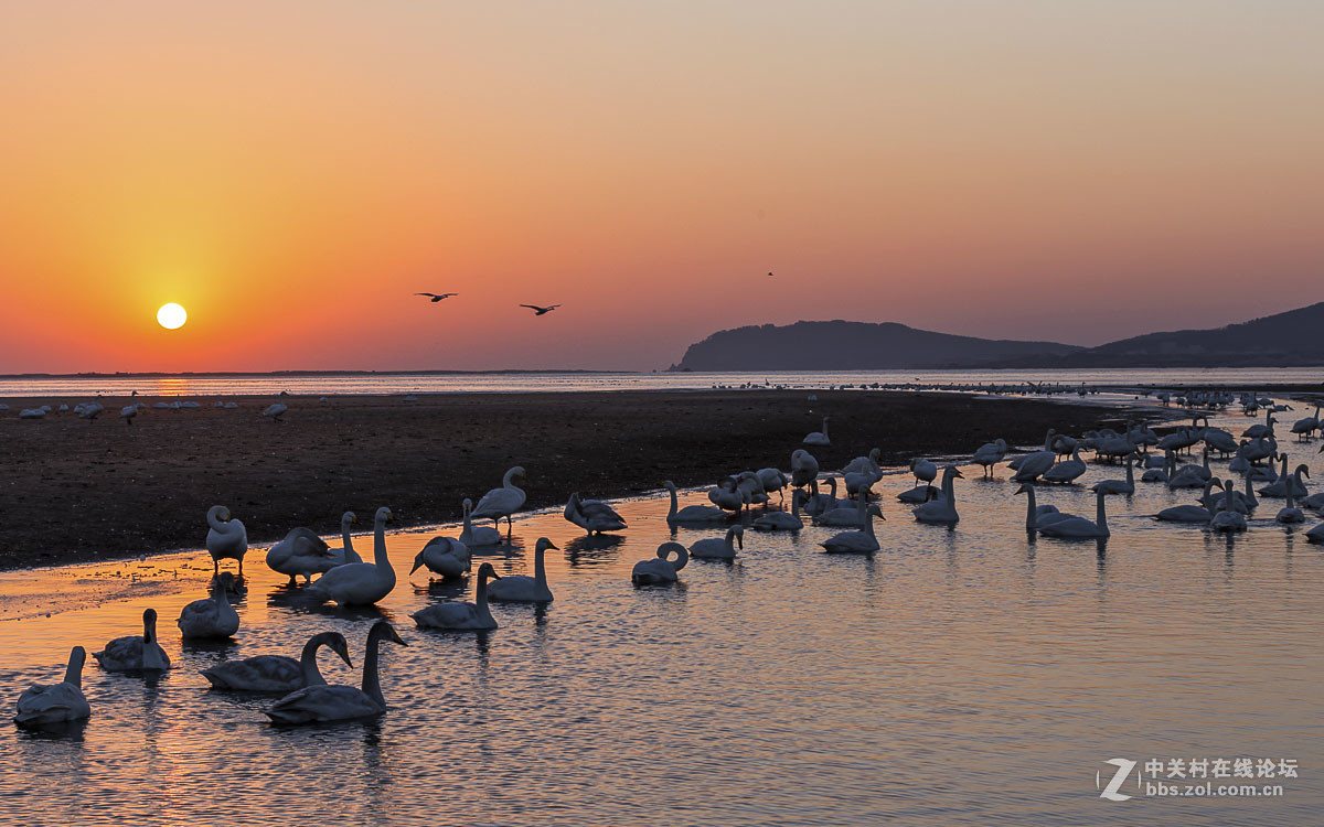 #佳能月赛-人与自然#------黎明时分