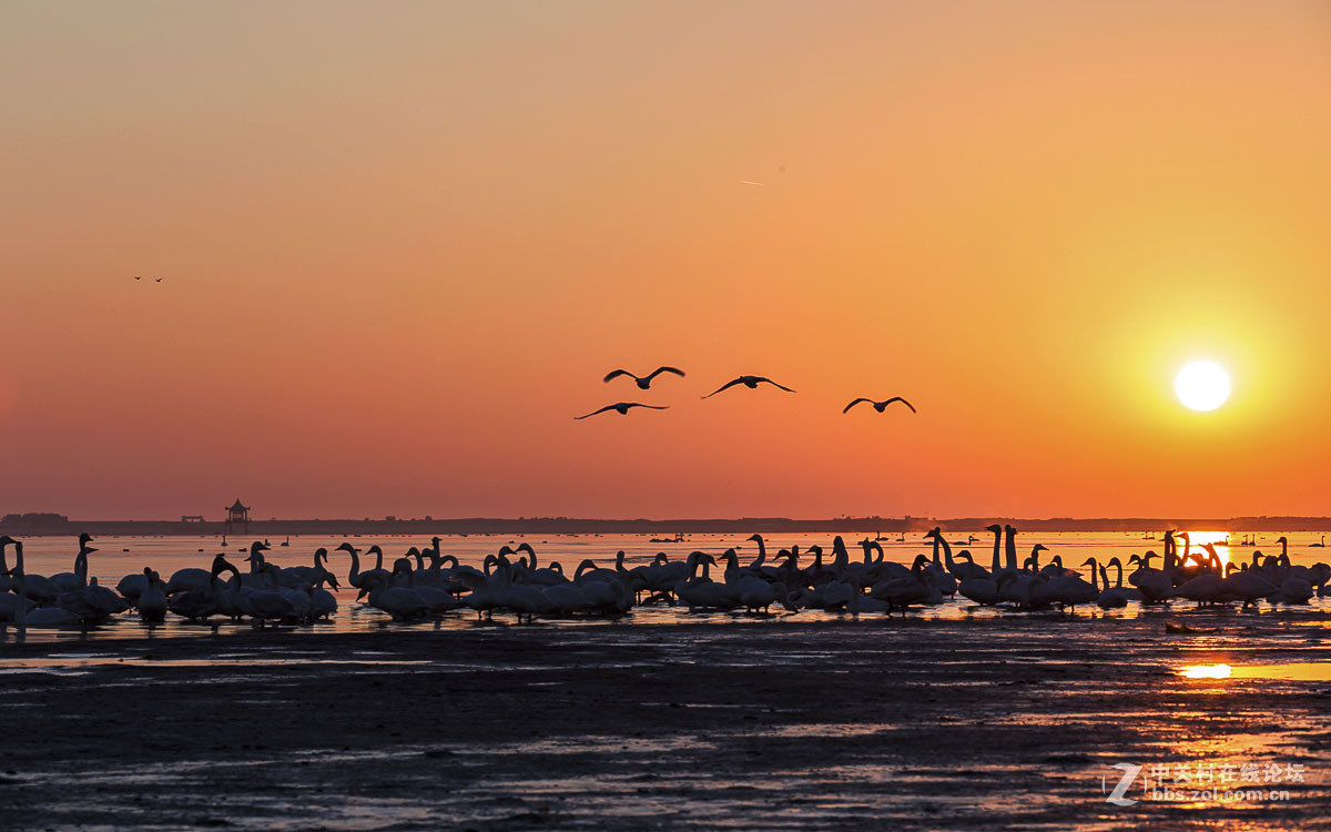 #佳能月赛-人与自然#------黎明时分