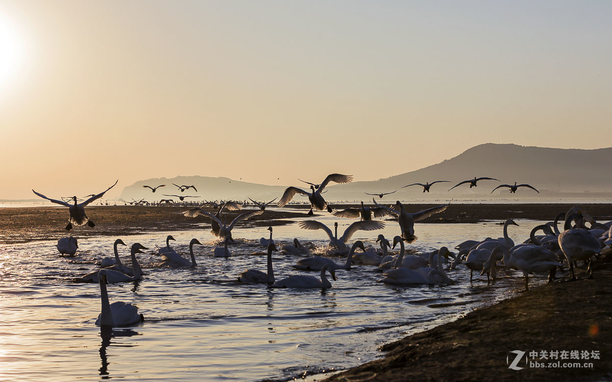 #佳能月赛-人与自然#------黎明时分