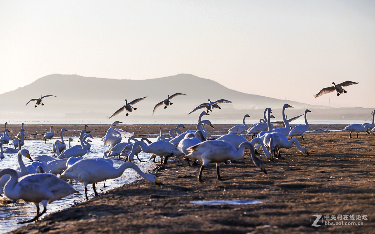 #佳能月赛-人与自然#------黎明时分