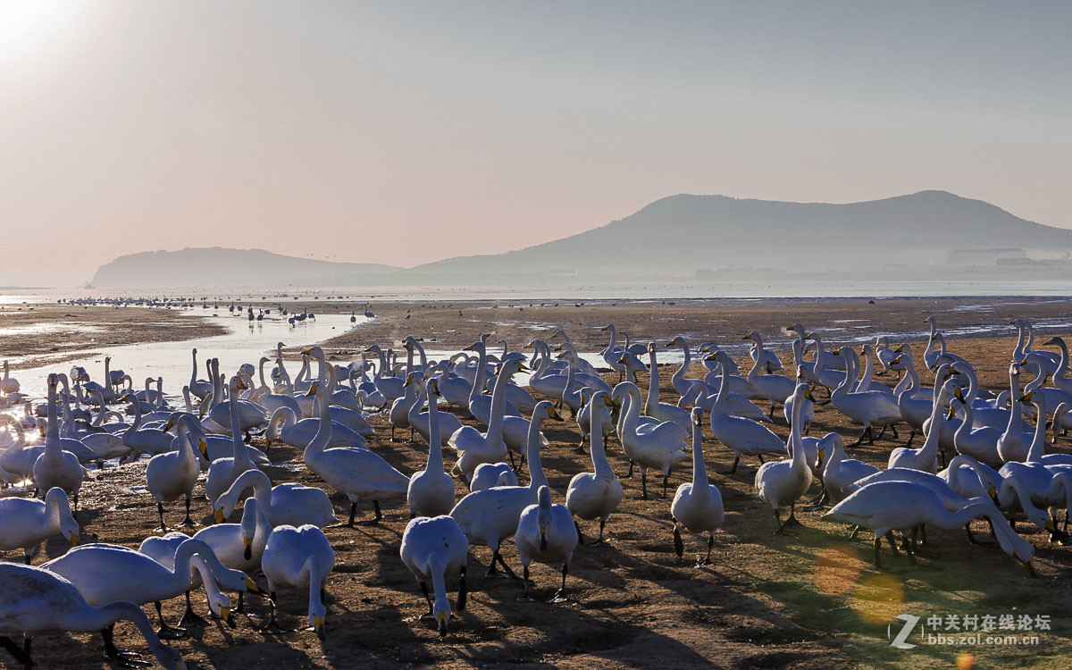 #佳能月赛-人与自然#------黎明时分