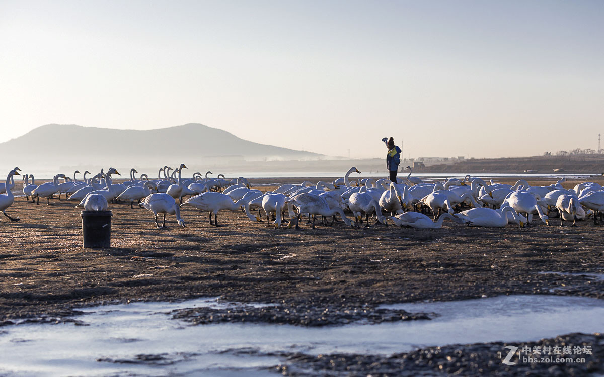 #佳能月赛-人与自然#------黎明时分