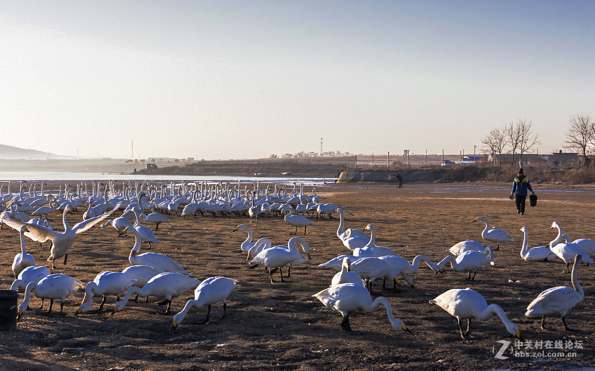 #佳能月赛-人与自然#------黎明时分