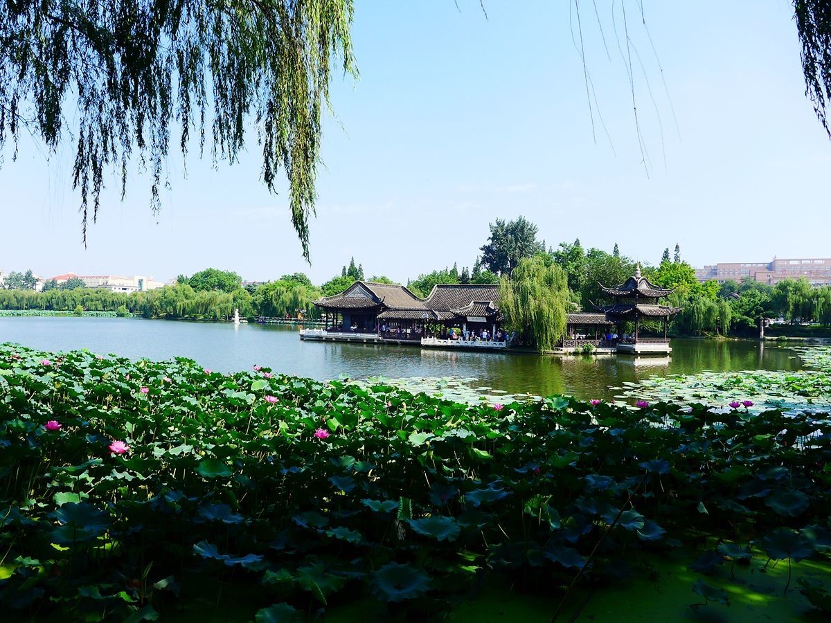 揚州荷花池美麗風景9