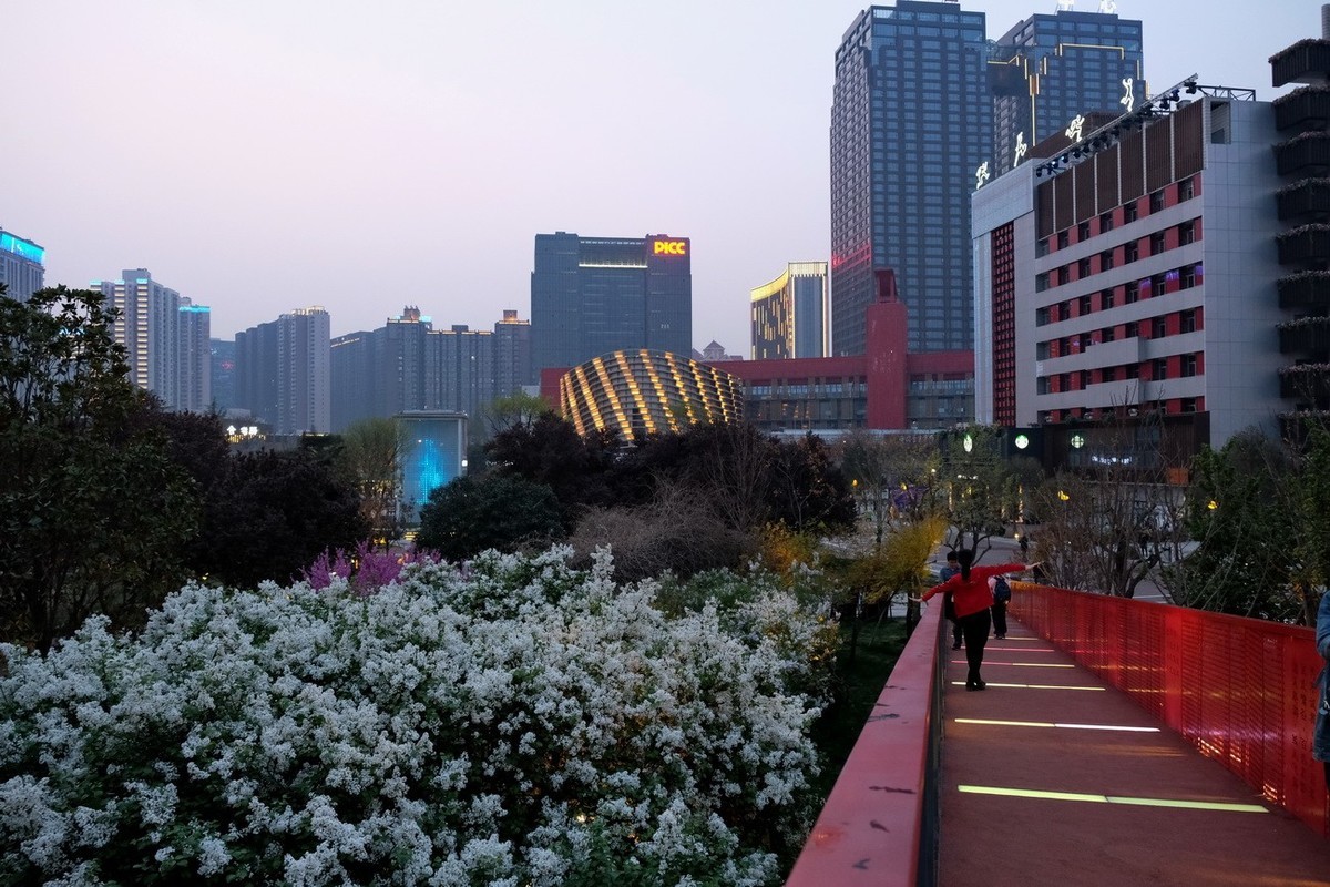 西安创业咖啡街夜景