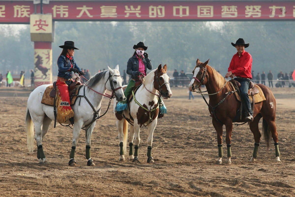 双湖县赛马节图片