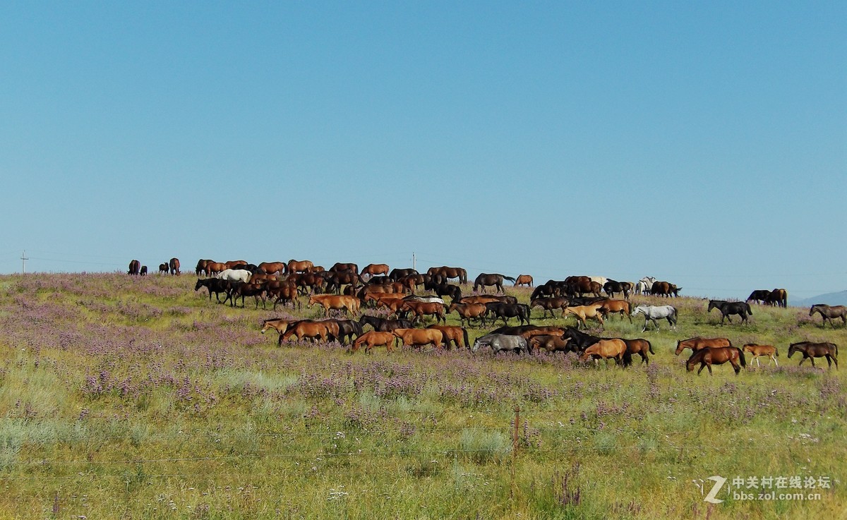 南北疆风光----宾得长焦机（一）