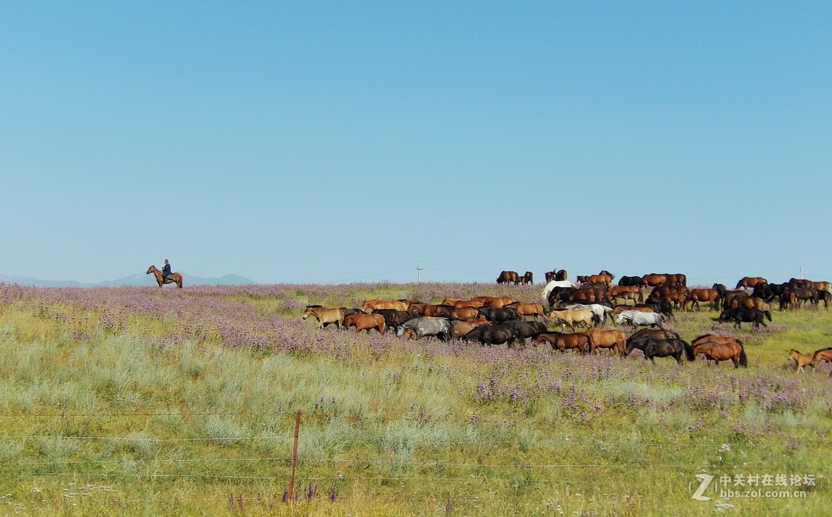 南北疆风光----宾得长焦机（一）