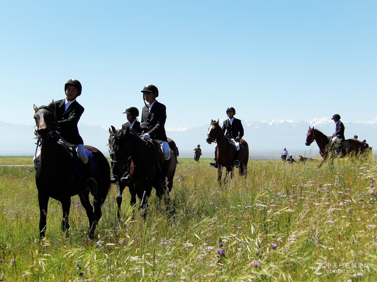 南北疆风光----宾得长焦机（一）