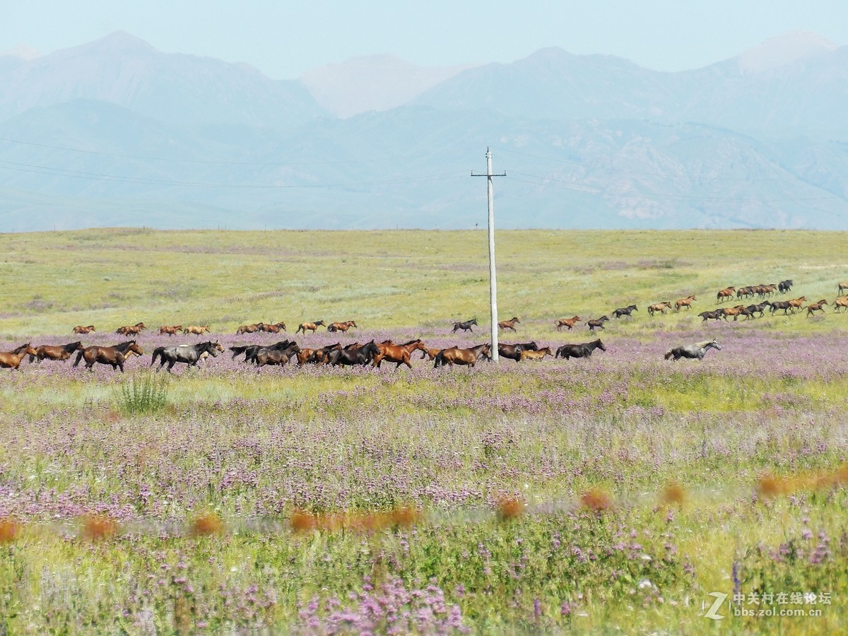 南北疆风光----宾得长焦机（一）