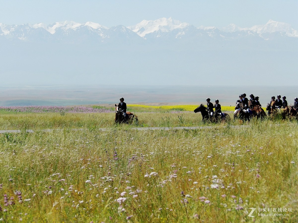 南北疆风光----宾得长焦机（一）