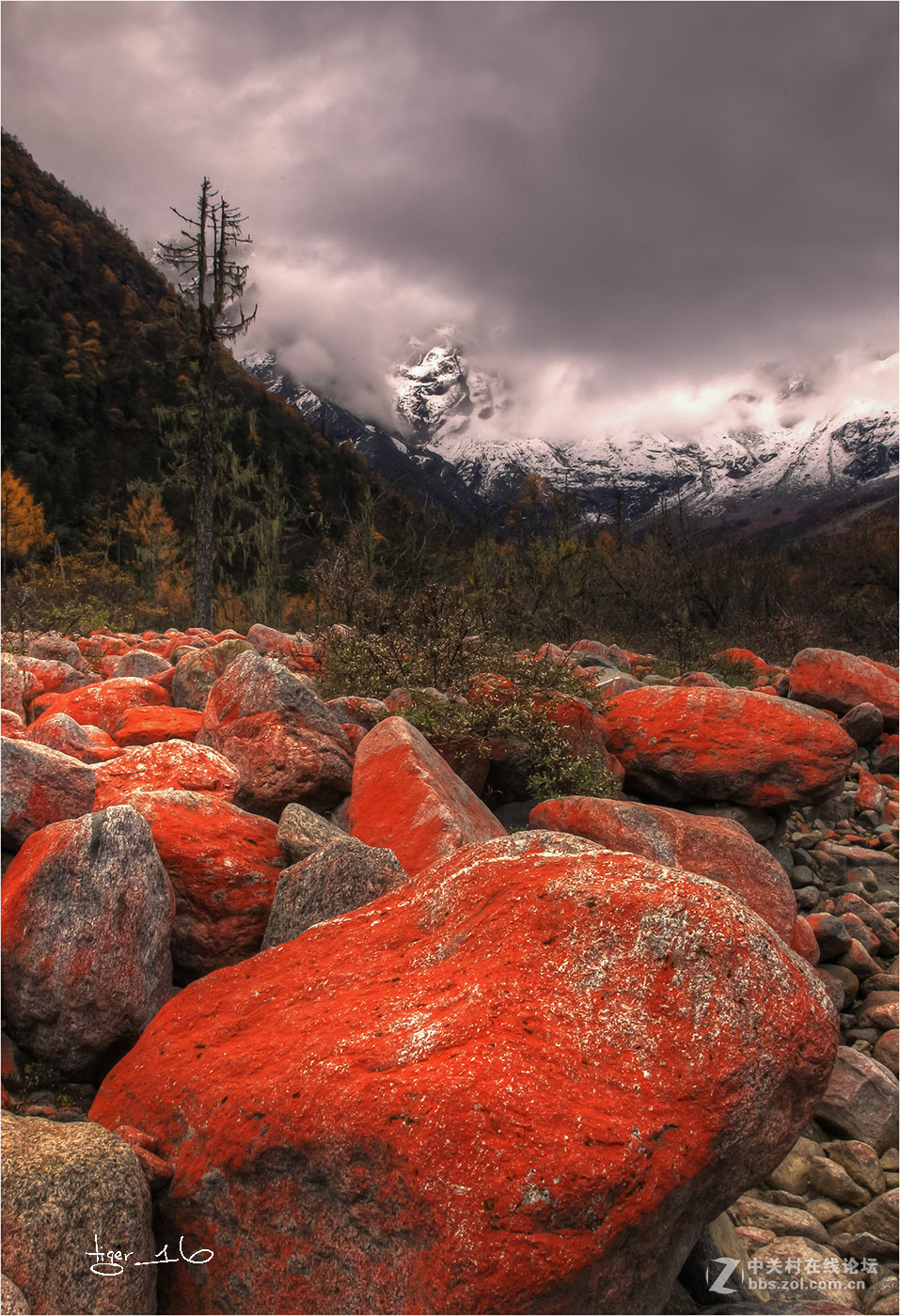 雪山下的红宝石