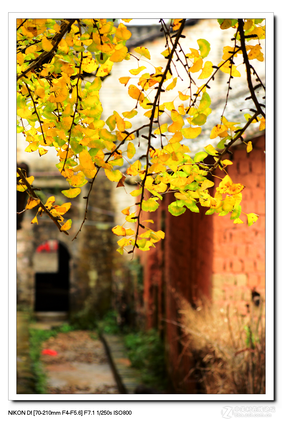 扫黄特别行动组。