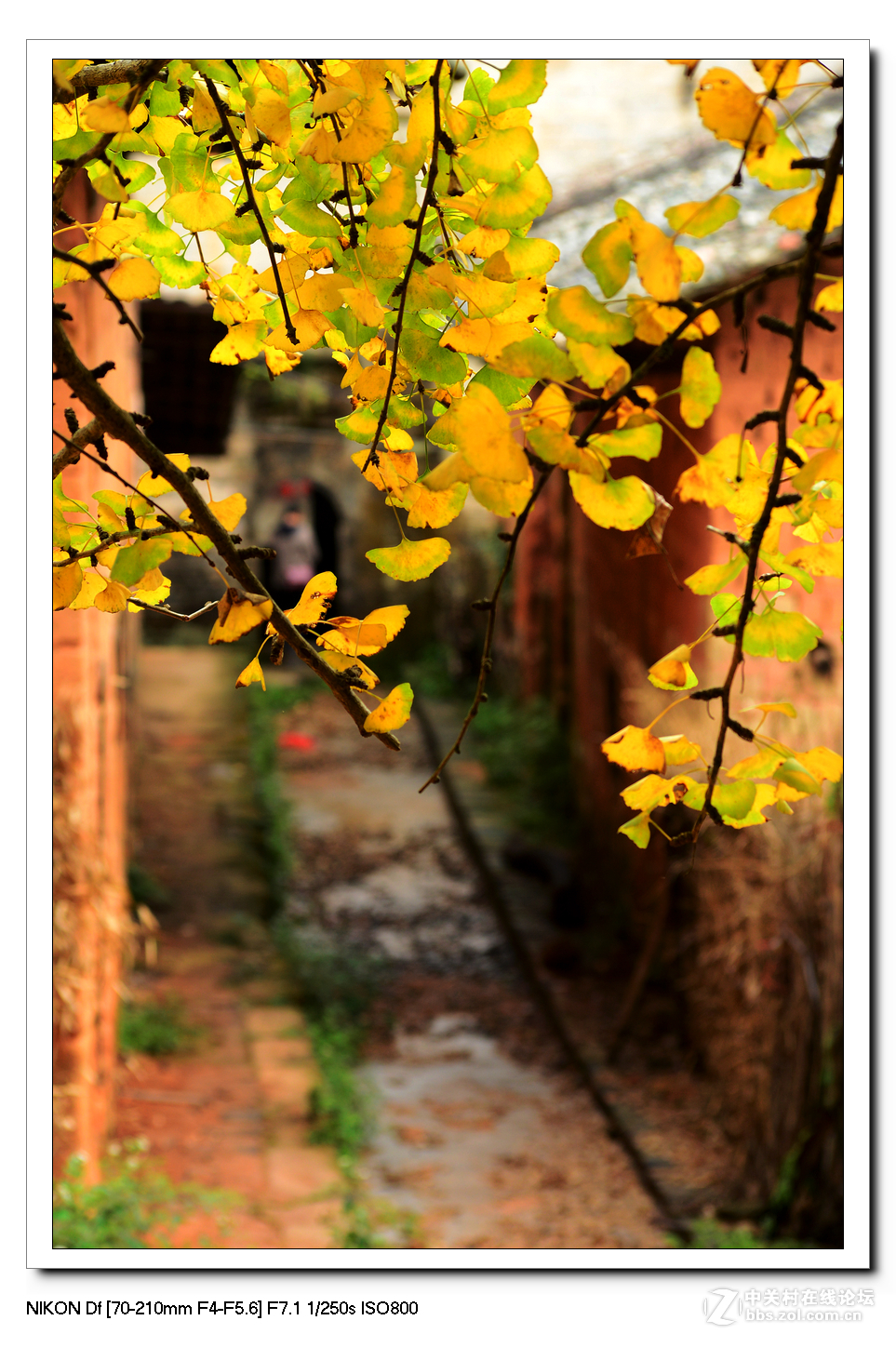 扫黄特别行动组。