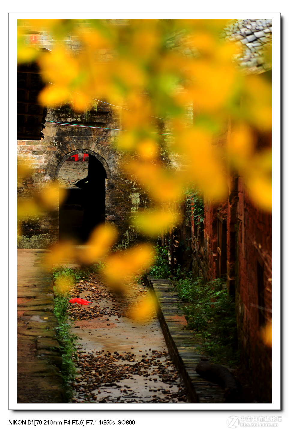 扫黄特别行动组。