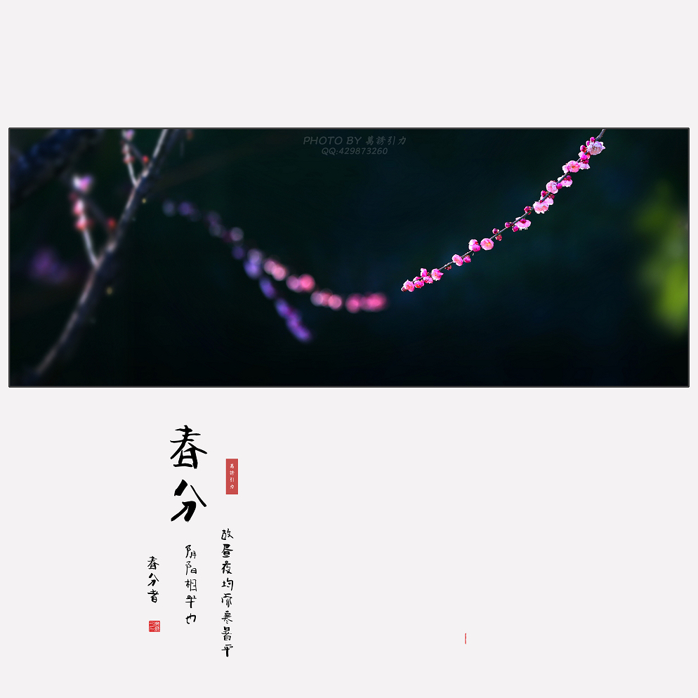 #ZOL月赛-微笑# 春分... ...